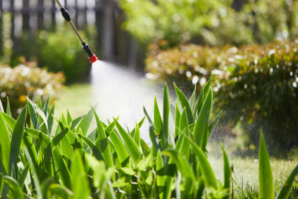 24/7 Emergency Wasp Removal experts in Sallisaw, OK