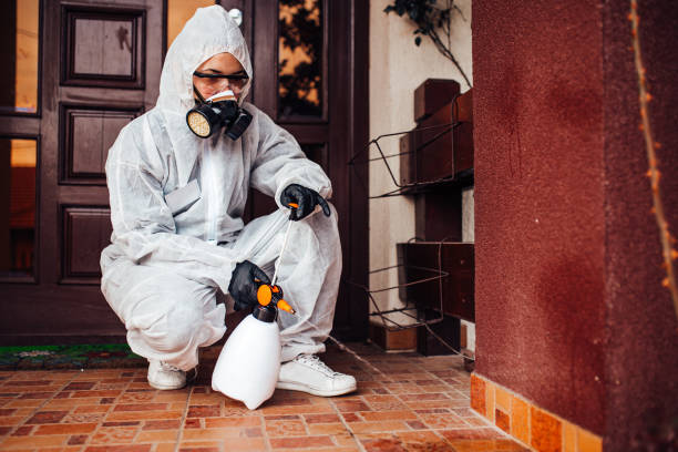 Reliable Wasp Removal contractor in Sallisaw, OK by Show Me Pest Control