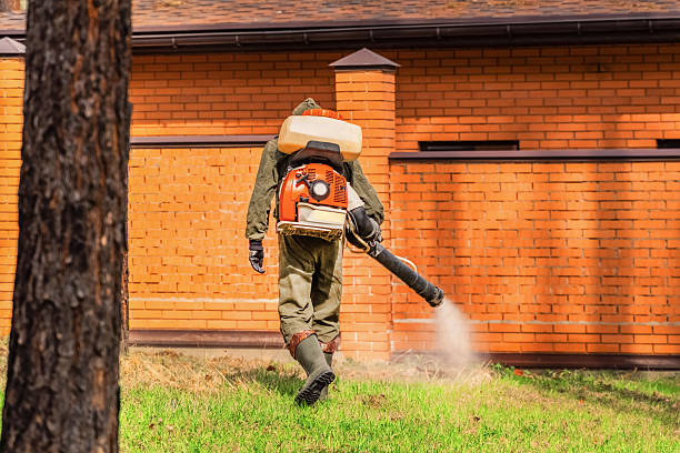 Top rated local Wasp Removal specialists in Sallisaw, OK